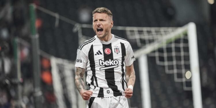 Immobile kalmak istiyor