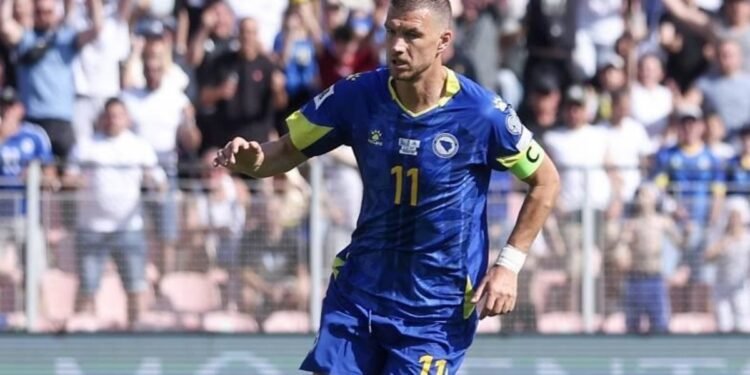 Dzeko’yu istiyordum