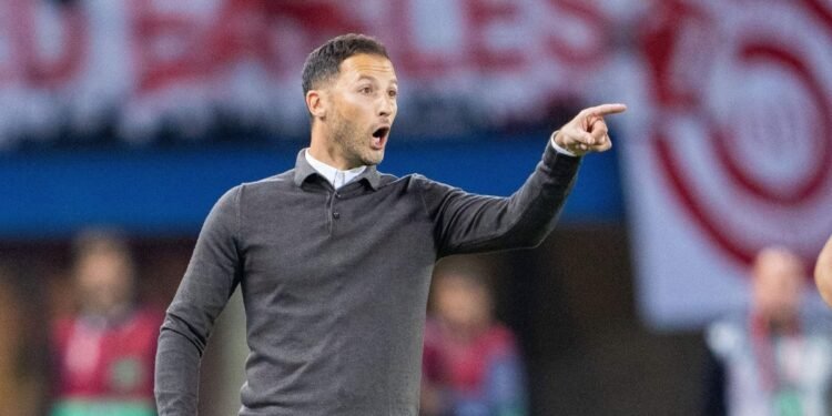 Hoca yabancı olacak