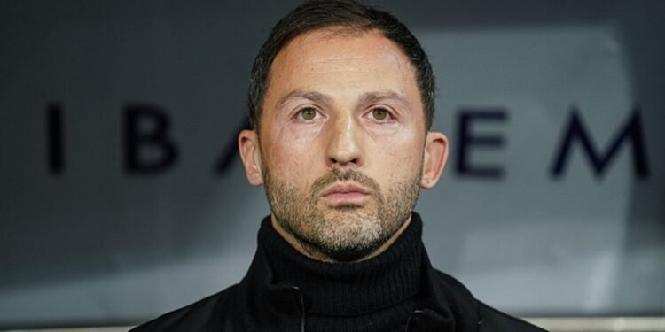 Fenerbahçe Teknik Direktörü Domenico Tedesco: 4 oyuncum kulübede olacak