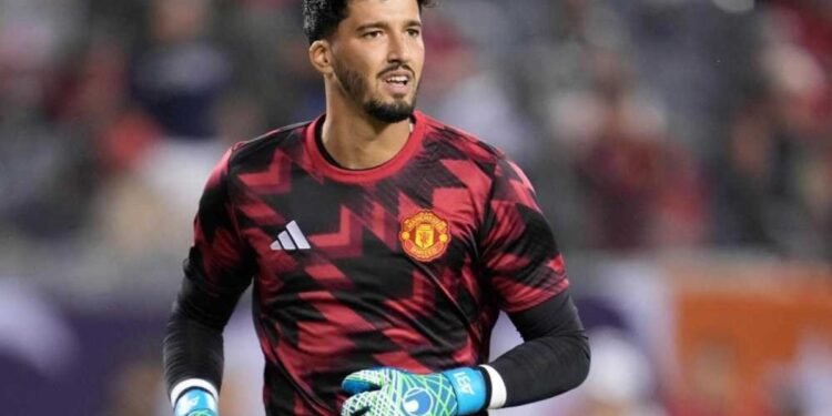 Altay takibi sürüyor