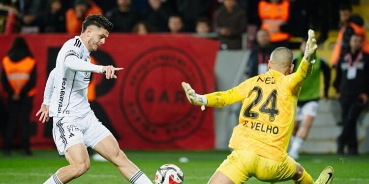 Ailece Beşiktaşlı