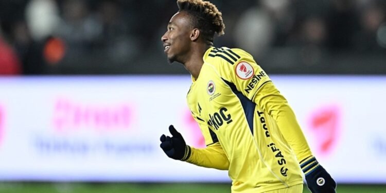 Desteğiniz için teşekkürler