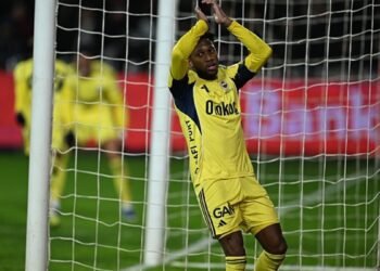 Her şey için teşekkür ederim