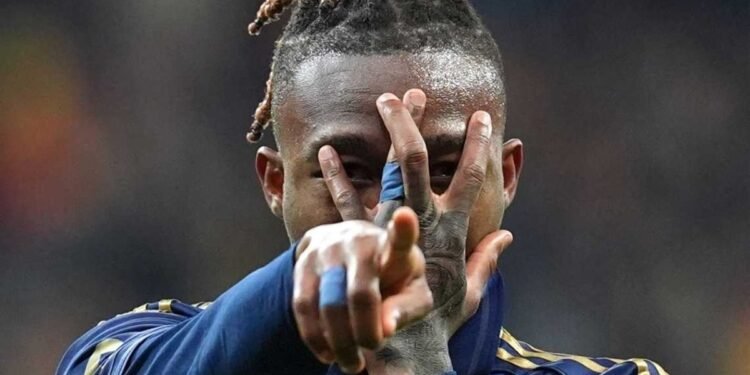 Avrupa’dan Nene’ye yoğun ilgi