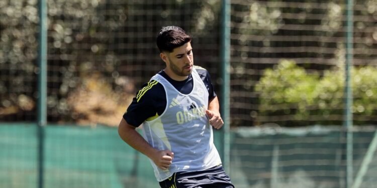 Fenerbahçe, Konyaspor maçı hazırlıklarını sürdürdü!