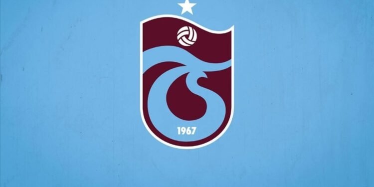 Voleybol hamlesi