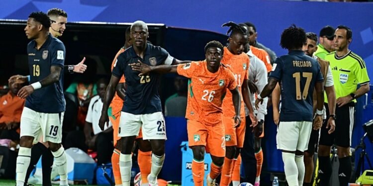 FIFA ödemelerinden gelir