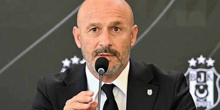 Hücumcu ve cesur