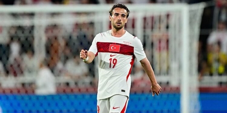Yunus sevinci