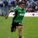 Fenerbahçe’den Armand Lauriente sürprizi! Resmi teklif…