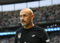 Kanatlarına bağlı taşlardan arınmış Kara Kartal!